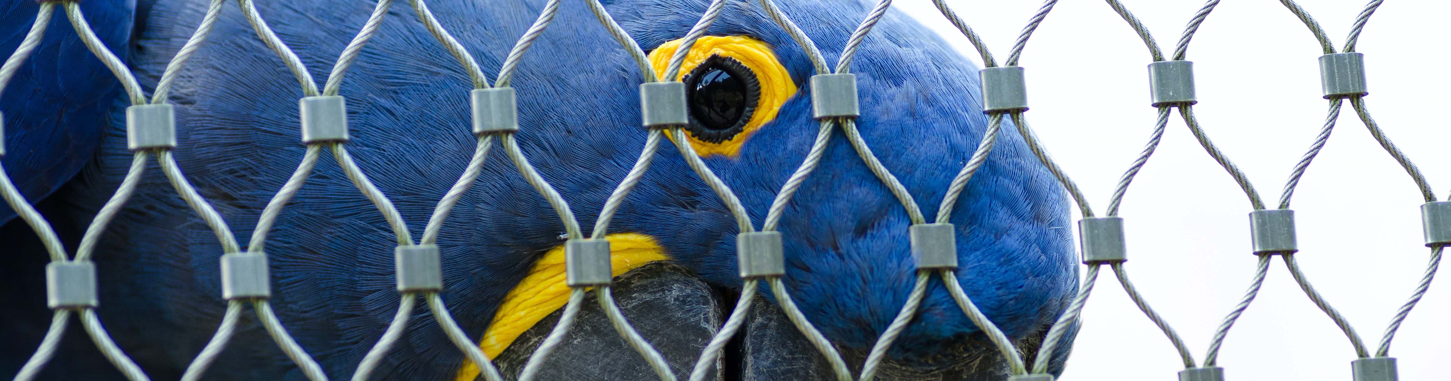 Bird Supplies Bird Supplies