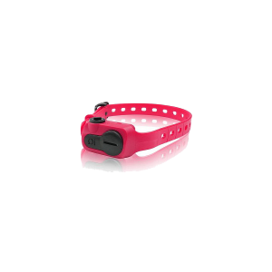 Dogtra IQ-BARK-PNK No Bark Collar Pink