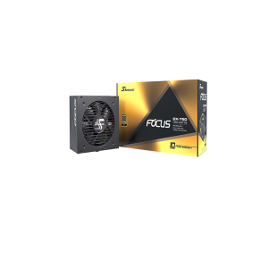 Seasonic FOCUS GX-750, 750W 80+ Gold, Full-Modular,Fan Control in Fanless, Silent, and Cooling Mode,Perfect Power Supply for Gaming and Various Application, SSR-750FX