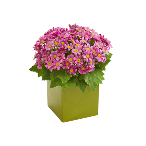 Nearly Natural 1830-MA Mauve Daisy Artificial Arrangement In Green Vase