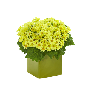 Nearly Natural 1830-YL Yellow Daisy Artificial Arrangement In Green Vase