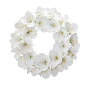 Nearly Natural 4257 24 Inch Amaryllis Artificial Wreath