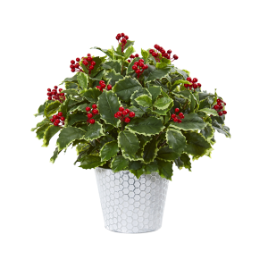 Nearly Natural 8922 17” Variegated Holly Leaf Artificial Plant In Decorative Planter Real Touch