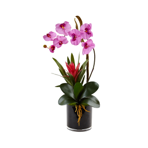 Nearly Naturals 1437-MA Orchid And Bromeliad In Glossy Black Cylinder