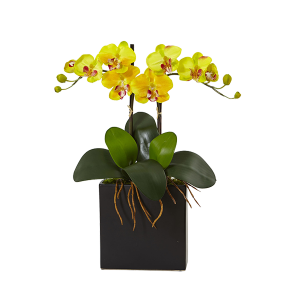 Nearly Naturals 1483-YL Yellow Double Mini Phalaenopsis In Black Vase
