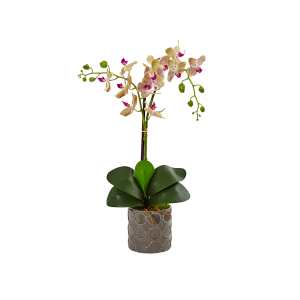 Nearly Naturals 1488 Double Phalaenopsis Orchid In Gray Ceramic Pot
