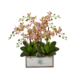 Nearly Naturals 1491 Phalaenopsis Orchid Arrangement In Decorative Wood Vase