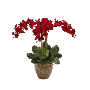 Nearly Naturals 1515-RD Triple Stem Phalaenopsis Arrangement Seasonal