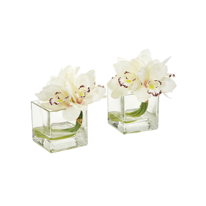 Nearly Naturals 1824-S2-CR Cream Cymbidium Orchid Artificial Arrangement In Glass Vase Set of 2