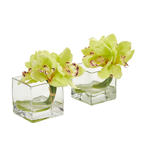 Nearly Naturals 1824-S2-GR Green Cymbidium Orchid Artificial Arrangement In Glass Vase Set of 2