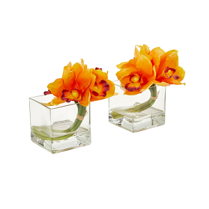 Nearly Naturals 1824-S2-OR Orange Cymbidium Orchid Artificial Arrangement In Glass Vase Set of 2