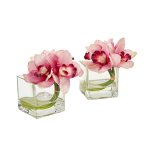 Nearly Naturals 1824-S2-PK Cymbidium Orchid Artificial Arrangement In Glass Vase Set of 2