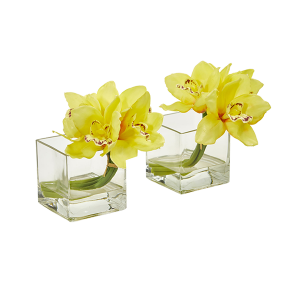 Nearly Naturals 1824-S2-YL Yellow Cymbidium Orchid Artificial Arrangement In Glass Vase Set of 2