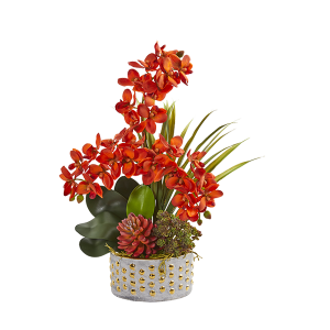 Nearly Naturals 1954-OG Autumn Phalaenopsis Orchid And Succulent Artificial Arrangement