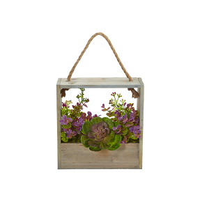 Nearly Naturals 6300 Echeveria Succulent And Eucalyptus Artificial Plant In Hanging Frame