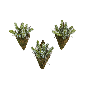 Nearly Naturals 8330-S3 8 Inch Sedum Succulent Artificial Wall Decor Plant Set of 3