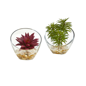 Nearly Naturals 8461-S2 Succulent Artificial Plant In Slanted Glass Vase Set of 2
