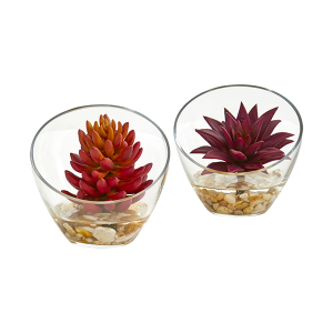 Nearly Naturals 8462-S2 6 Inch Succulent Artificial Plant In Glass Vase Set of 2