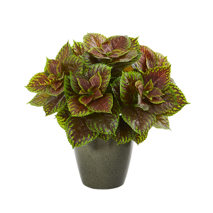 Nearly Naturals 8768 20 Inch Coleus Artificial Plant In Green Planter