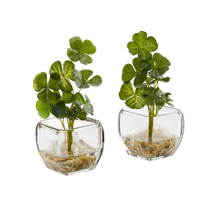 Nearly Naturals 8833-S2 9 Inch Clover Artificial Plant In Glass Planter Set of 2