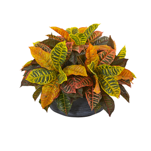 Nearly Naturals 8854 23 Inch Garden Croton Artificial Plant In Decorative Bowl