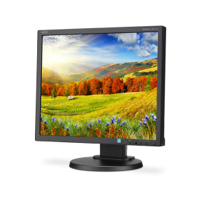 NEC EA193MI-BK 19" MultiSync SXGA LCD Monitor