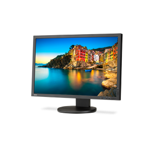 NEC P243W-BK 24" 16:10 Professional sRGB Gamut Desktop Monitor Black