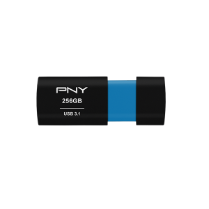 PNY Elite-X P-FD256ELX-GE USB 3.1 256GB Flash Drive