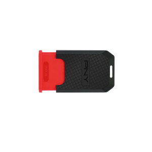 PNY Elite P-FD256ELTC-GE USB 3.1 Gen 1 Type-C 256GB Flash Drive