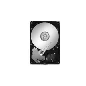 Seagate ST3160815AS 160 GB 3.5" 7200rpm 8 MB Buffer Internal Hard Drive