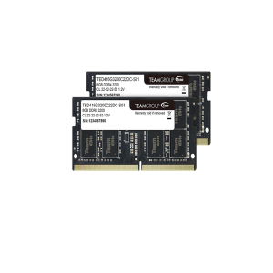 Team Elite TED416G3200C22DC-S01 16GB (2 x 8GB) 260 Pin DDR4 SO-DIMM DDR4 3200 (PC4 25600) Laptop Memory Model