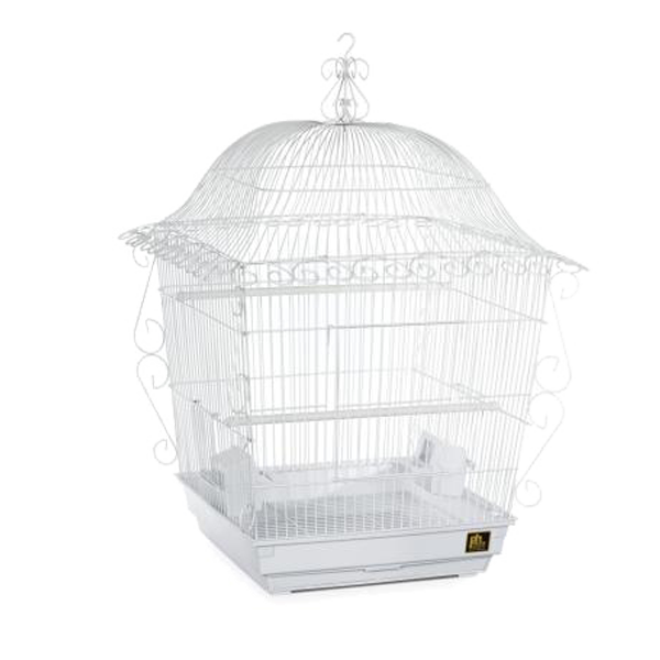 scrollwork bird cage